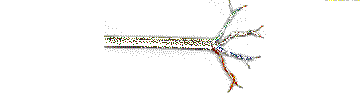 Unshielde Twisted Pair (UTP)