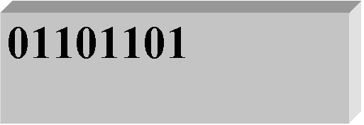 Casella di testo: 01101101 